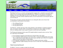 Tablet Screenshot of blueridgetreeservicellc.com